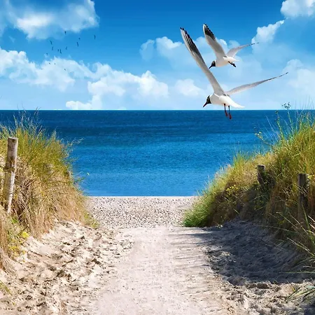 Prázdninový dům Geraeumiges Strandhaus Fuer 10 Personen